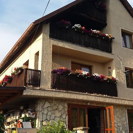 Apartmany Sharka -Sarka Justrova Decin Esterno foto