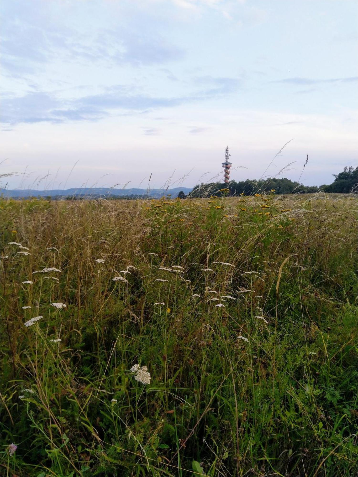 Apartmany Sharka -Sarka Justrova Decin Camera foto
