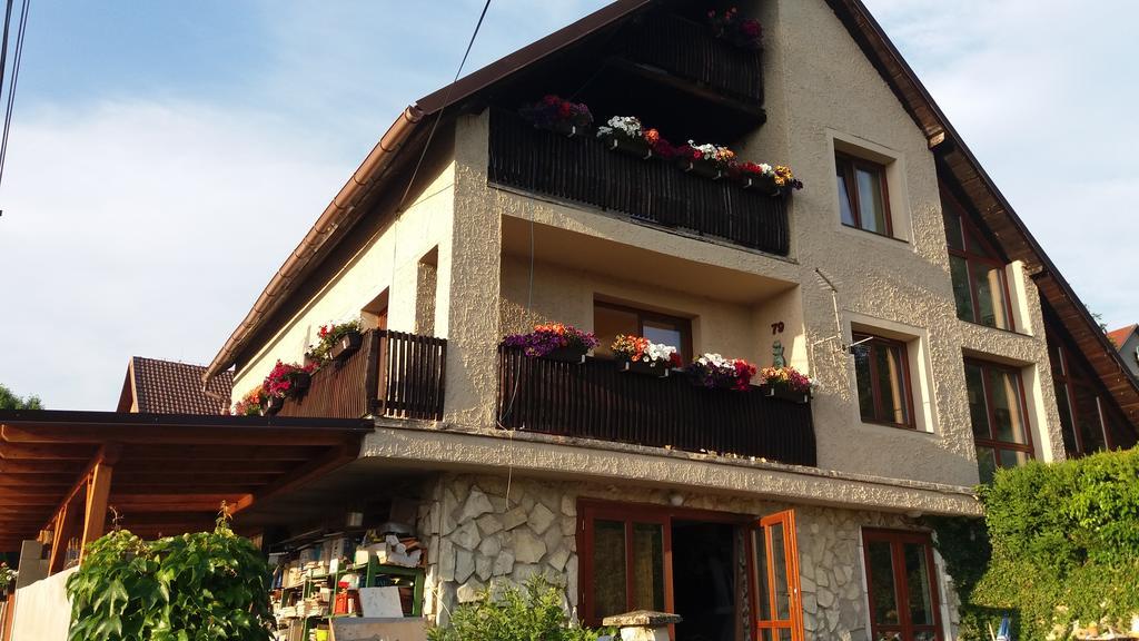 Apartmany Sharka -Sarka Justrova Decin Esterno foto