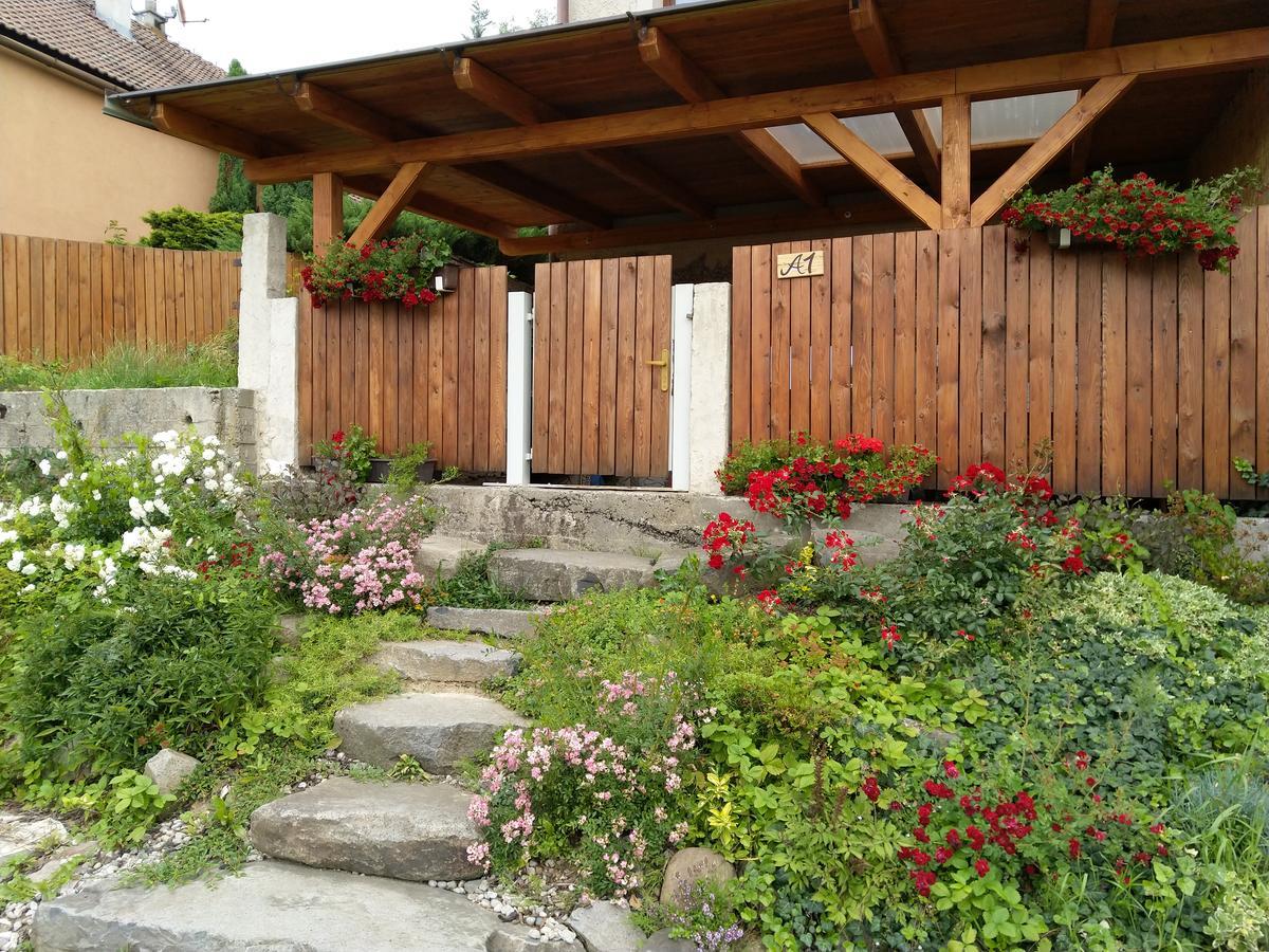 Apartmany Sharka -Sarka Justrova Decin Esterno foto